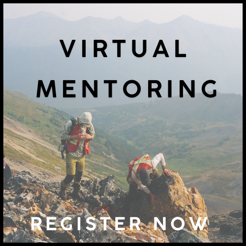 Virtual Mentoring